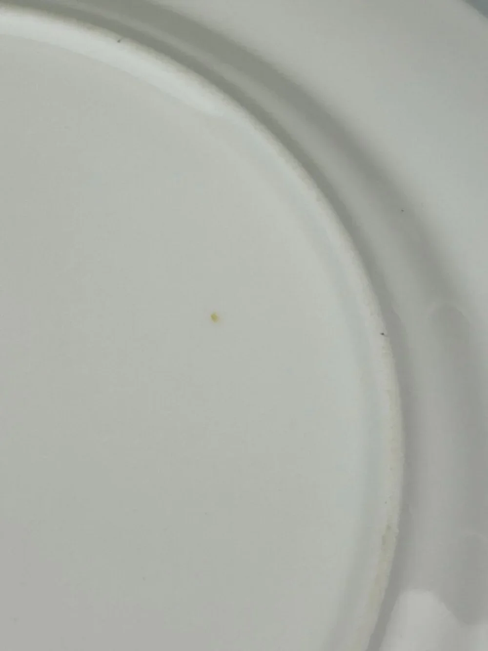 Royal Albert Old Country Roses Dinner Plate 10.25